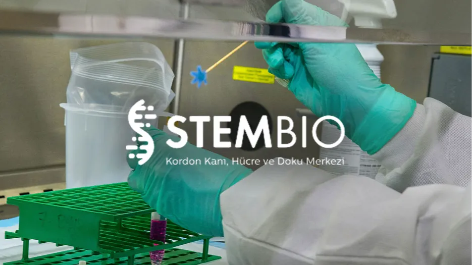 StemBio